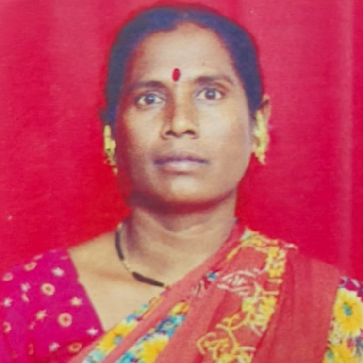 सौ. मीरा अनिल गायकवाड